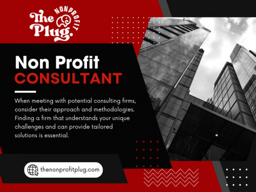 Nonprofit organizations play a crucial role in addressing societal needs, from supporting marginalized communities to advocating for environmental conservation. However, managing a nonprofit comes with its own set of challenges. In navigating these complexities, many nonprofits find themselves at a crossroads where the expertise of a Non profit consultant becomes invaluable.  Here are some signs indicating it might be time for your nonprofit to consider hiring a consultant:

Official Website: https://thenonprofitplug.com/

Address: 4067 Hardwick St. Suite 404 Lakewood, CA 90712
Phone: 657-444-(7584)

Our Profile: https://gifyu.com/thenonprofitplug

More Photos:

https://is.gd/25Sqqs
https://is.gd/5JkR97
https://is.gd/p6cYxx
https://is.gd/yDhDdV