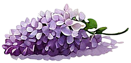 inspired by brian daviss watercolor a bouquet of white and purple lilacs in a wicker basket on a w P