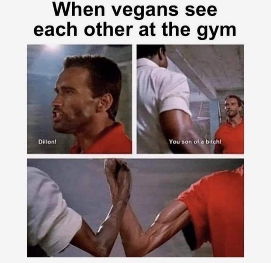 [Image: SYtF2.jpg]