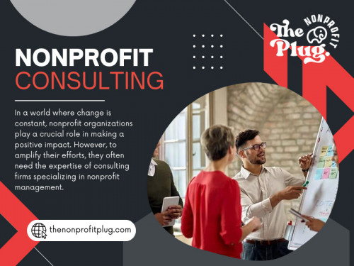 By asking the right questions upfront, you can gain the insights needed to make an informed decision and select a nonprofit consulting partner that will truly drive transformative change for your organization. With the right expertise and support, your nonprofit can unlock new levels of impact and achieve its most ambitious goals.

Official Website: https://thenonprofitplug.com/

Address: 4067 Hardwick St. Suite 404 Lakewood, CA 90712
Phone: 657-444-(7584)

Our Profile: https://gifyu.com/thenonprofitplug

More Photos:

http://gg.gg/1b19qv
http://gg.gg/1b19r5
http://gg.gg/1b19rf
http://gg.gg/1b19rk