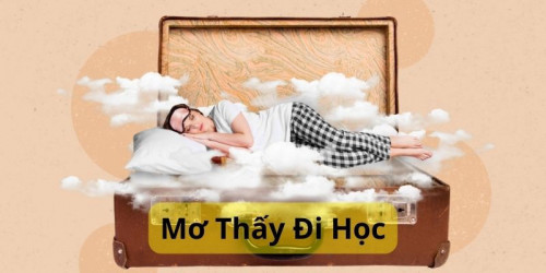 Giai ma giac mo thay di hoc, danh gi chuan nhat.
 

Việc tìm kiếm một lời giải mã khi nằm mơ thấy đi học luôn được nhiều người thắc mắc. Không quá khó để hiểu chuyện này, vì giấc mơ không những mang đến con số may mắn mà còn có điềm báo cho bản thân. Nếu bạn cũng đang tò mò về giấc mộng thấy đi học có ý nghĩa gì hãy cùng lô đề online tham khảo bài viết dưới đây ngay nhé.
#lodeonline #lodeonlineblog #tranglodeonline