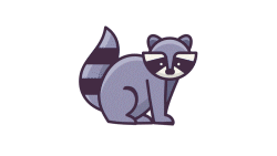 Raccoon Animation