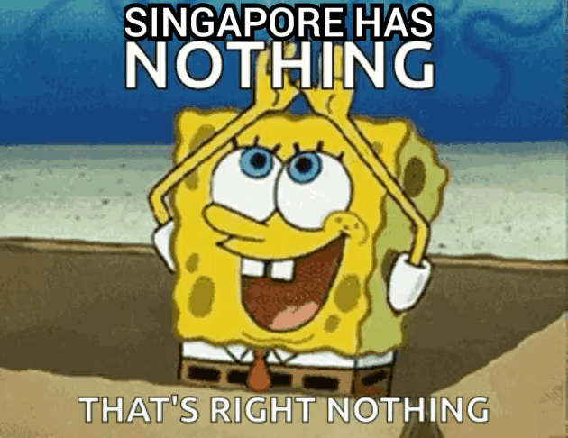 singapur sucks