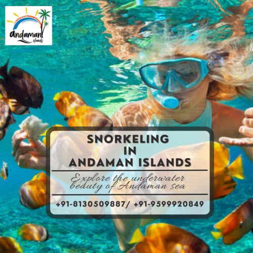 Best Snorkeling packages at Andaman Island Travels. So click to book Snorkeling Tour Package in Andaman and get exciting deals with us. Enjoy the underwater beauty of the Andaman sea. 
To know more, Visit us at: https://www.andamanisland.in/tour-category/snorkeling-in-andaman-islands