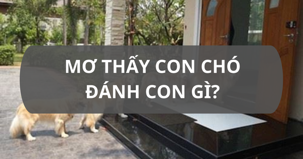 Nằm Mơ Thấy Chó Đánh Con Gì? Giải Mã Giấc Mơ và Con Số May Mắn