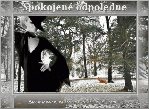 Spokojene-odpoledne0f92fbe35f8ca157.gif