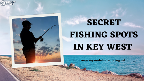 Ever wonder where the best secret fishing spots in Key West are? Visit Looney Tunes Charter Fishing where our fisherman uncover hidden fishing gems in Key West. Contact us to explore untouched water and reel in your best catch yet! Visit us at https://keywestcharterfishing.net/secret-fishing-spots-in-key-west/