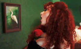 red wine supernova (44)