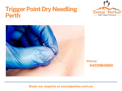 Trigger-Point-Dry-Needling-Perth.png