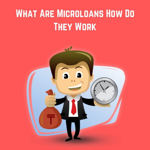 What-Are-Microloans-How-Do-They-Work.jpg