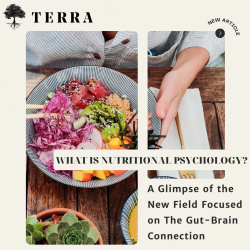 As the connection between the health of our gut microbiome and our mental health becomes an increasing focus of research, a new field is emerging to put findings into practice: enter nutritional psychology.