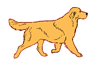 cane 127