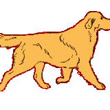 cane-127