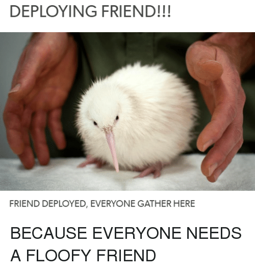 deploying-friend-friend-deployed-everyone-gather-here-because-everyone-needs-19954777.png