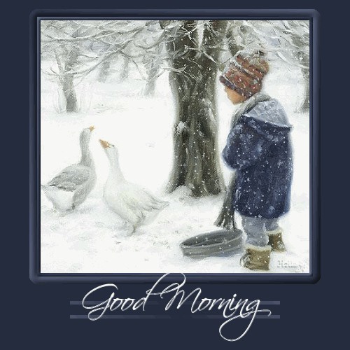 good-morning-winter-goose-boy.jpg