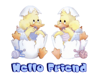 hello-friend-hatching-ducks.gif