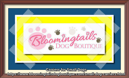 Carry your dog in style and comfort with small dog carriers. Find the best selection of dog carriers for small dogs here at Bloomingtails Dog Boutique. Our online store offers great quality on dog luxury items at the best price.
https://www.bloomingtailsdogboutique.com/small-dog-carriers.html