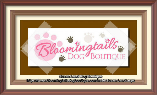 Browse the huge collection of Susan Lanci dog accessories online and make sure to look for current discounts available. We deal with almost everything from Susan Lanci; from just a leash to very comfortable bed.
https://www.bloomingtailsdogboutique.com/m/56-Susan-Lanci.aspx
