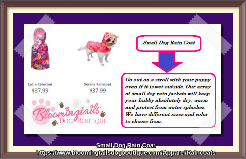 Go out on a stroll with your puppy even if it is wet outside. Our array of small dog rain jackets will keep your hubby absolutely dry, warm and protect from water splashes. We have different sizes and color to choose from.
https://www.bloomingtailsdogboutique.com/Apparel/Raincoats