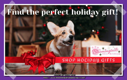 Choose from large collections of small dog clothes like shirts, hoodie, hat, dog diaper and coats at best prices at Bloomingtails Dog Boutique. Shop our great selection of clothes for small dogs with fast shipping and great prices at our online store. https://www.bloomingtailsdogboutique.com/