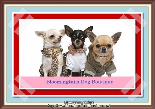 Wide range of fashion at our Luxury Dog Boutique consists designer dog clothes, collars, carriers, toys, dog beds and all type of unique apparel are available. Visit Bloomingtails Dog Boutique to check our brand new collections of dog products.
https://www.bloomingtailsdogboutique.com/