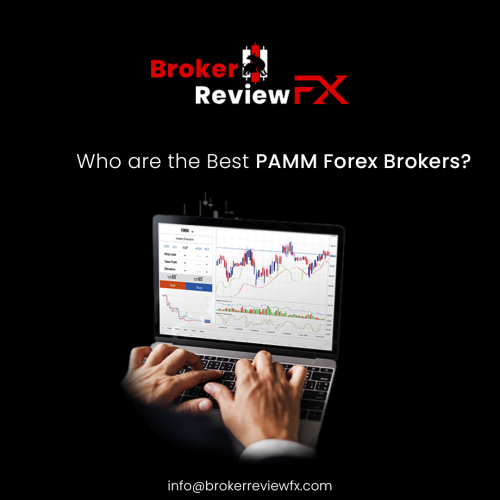 Broker Reviewfx offers you Best PAMM Broker Accounts where you get the secure services by our well expertise and By investing funds into with the help of Broker Reviewfx PAMM account you can get real profit without your personal participation.