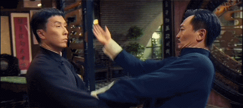 ipman fight
