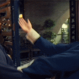 ipman_fight