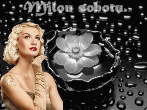 milou-sobotu2b00d132cbcc2f30.gif