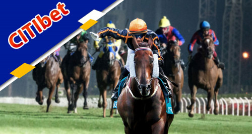 Where Can I Play Citibet Horse Racing Games in Singapore? Onlinegambling-review.com is a Singapore-based supplier of online horse racing games. It provides Singapore's greatest horse racing games, odds, and betting opportunities. Visit our website right now to learn more.

https://onlinegambling-review.com/citibet/