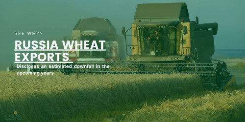 Russia is the largest wheat exporter in the world. It holds the capacity to put over 8,400 Million USD worth of wheat in the output for utilization by other countries in need. As of 2021
https://www.cybex.in/blogs/russia-wheat-exports-discloses-an-estimated-downfall-in-the-upcoming-years-10059.aspx