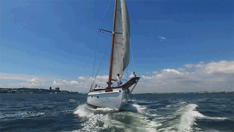 sailing.gif