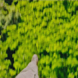 therock_arrive